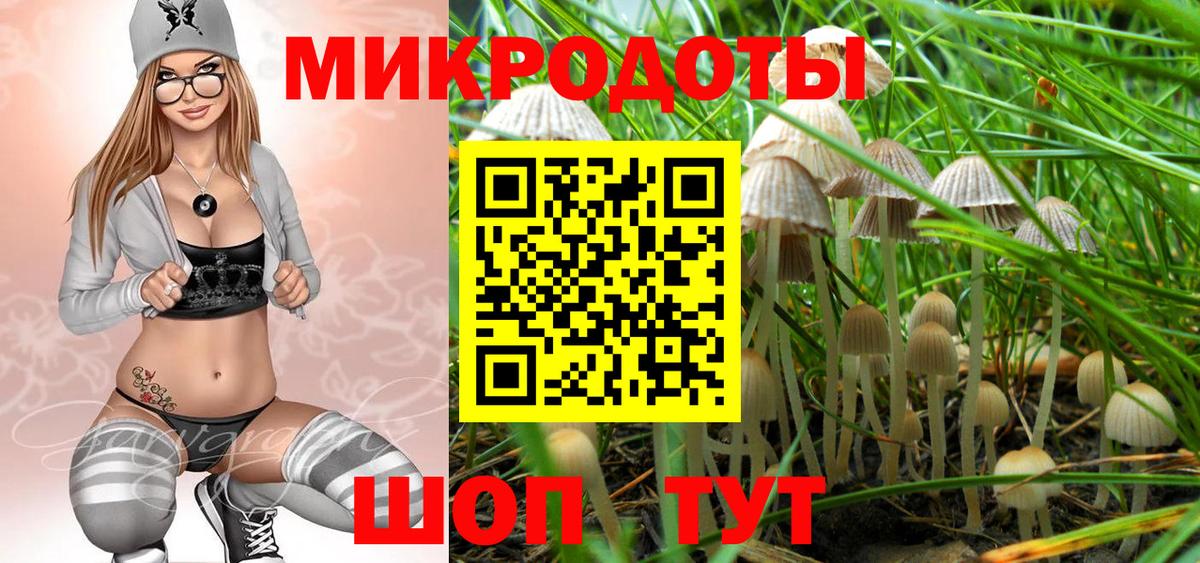 Псилоцибиновые грибы Psilocybe Качканар