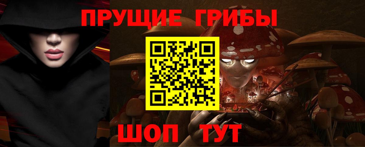 Галлюциногенные грибы Cubensis  Вход с VPN  Качканар  Галлюциногенные грибы прущие грибы 